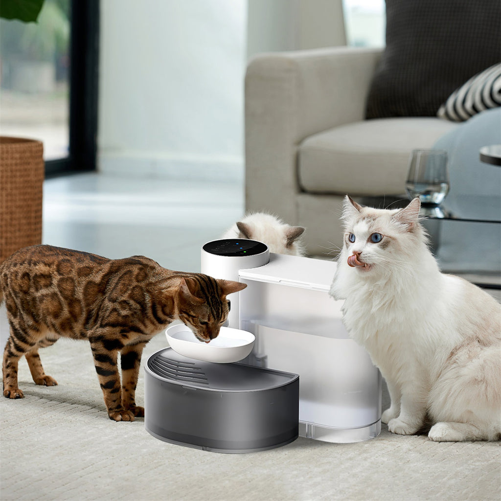 Fontaine à Eau Automatique pour Chat — 3L Sans Fil Rechargeable