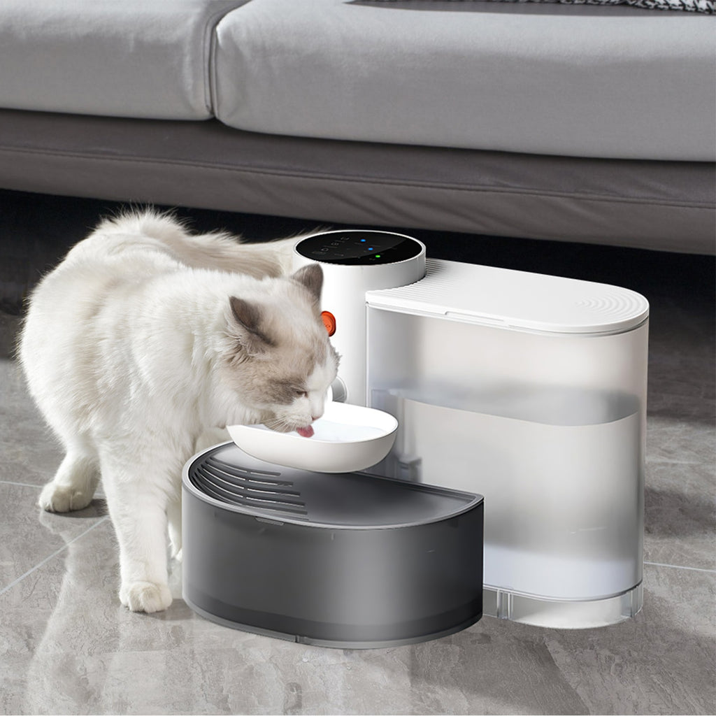 Fontaine à Eau Automatique pour Chat — 3L Sans Fil Rechargeable