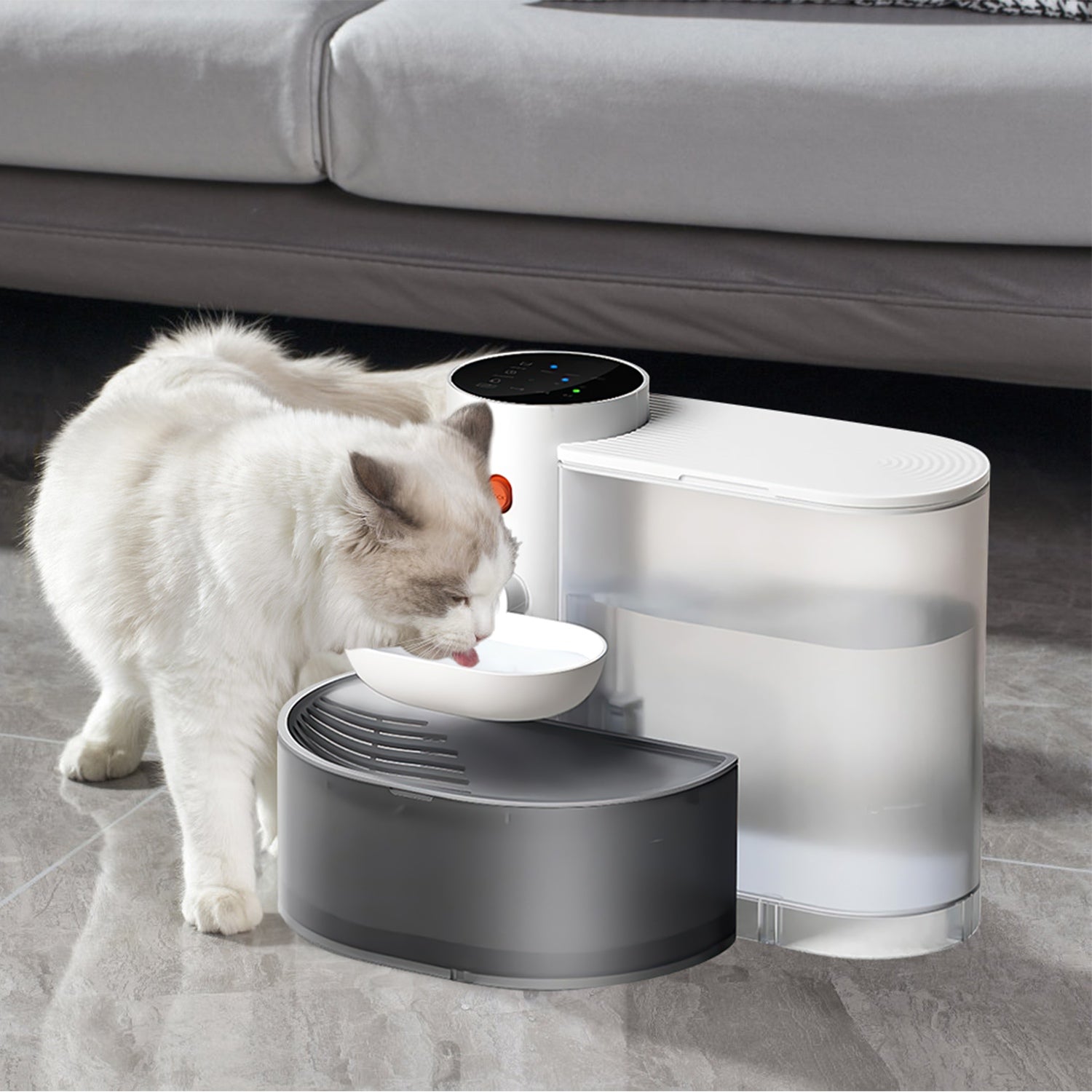 Fontaine à Eau Automatique pour Chat — 3L Sans Fil Rechargeable