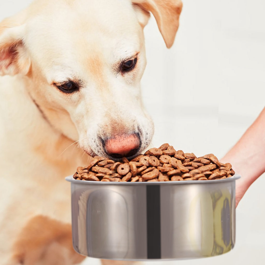 Gamelle Suspendue Acier Inox pour Chien — Taille M