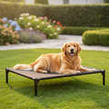 Golden retriever couché dans le jardin